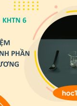 Thí nghiệm quan sát thành phần của nhũ tương - Khoa học tự nhiên 6  -  Hoc10